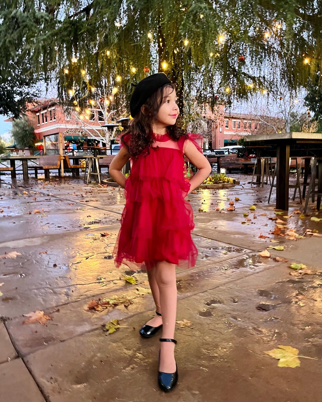 Festive Tulle Dress